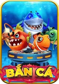 Trang chủ 204 ban ca